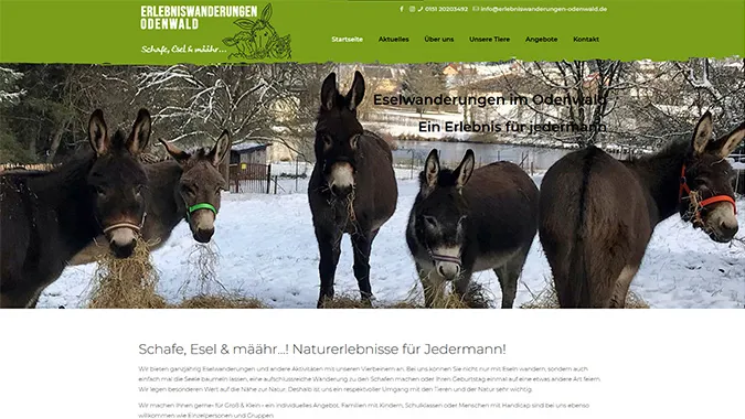 Erlebniswanderungen Odenwald – Webdesign smartline
